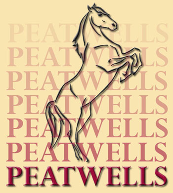 enter Peatwells site